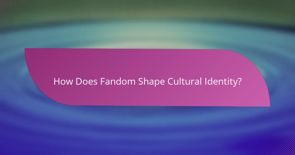 How Does Fandom Shape Cultural Identity?