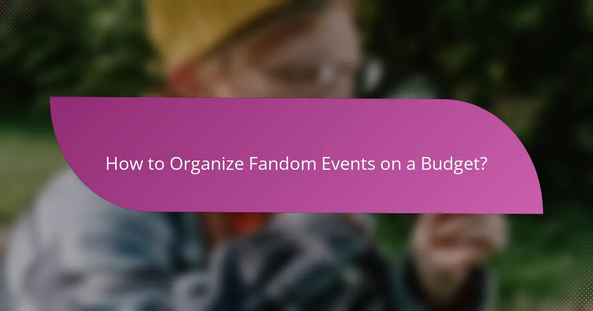 How to Organize Fandom Events on a Budget?