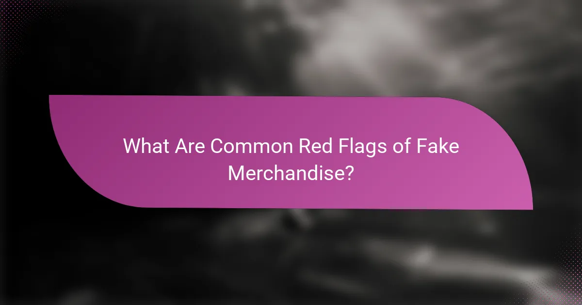 What Are Common Red Flags of Fake Merchandise?