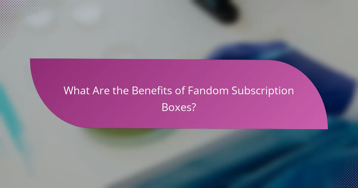 What Are the Benefits of Fandom Subscription Boxes?