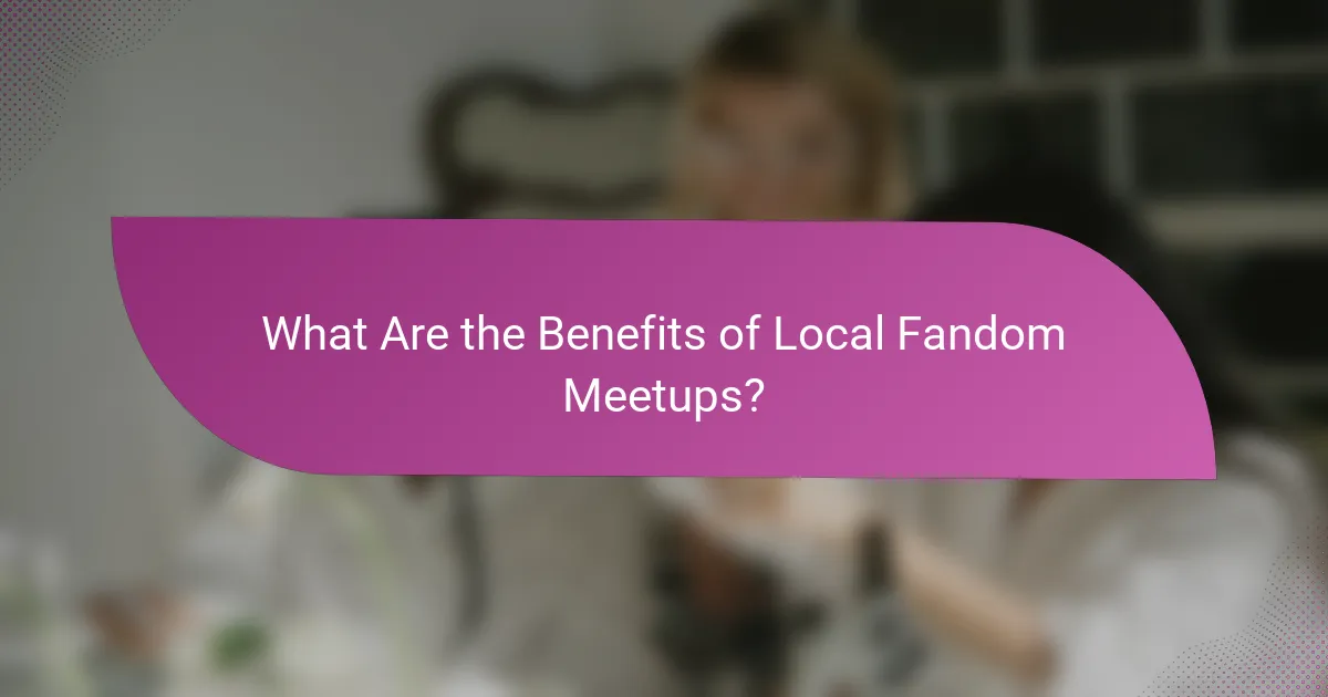 What Are the Benefits of Local Fandom Meetups?
