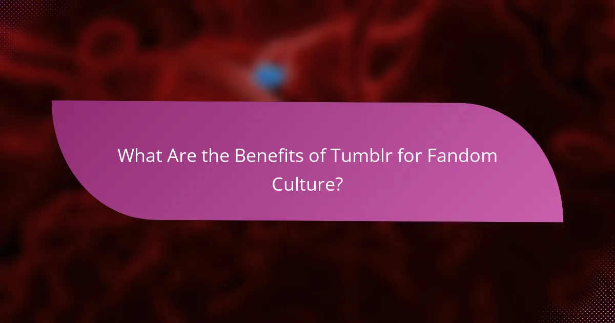 What Are the Benefits of Tumblr for Fandom Culture?