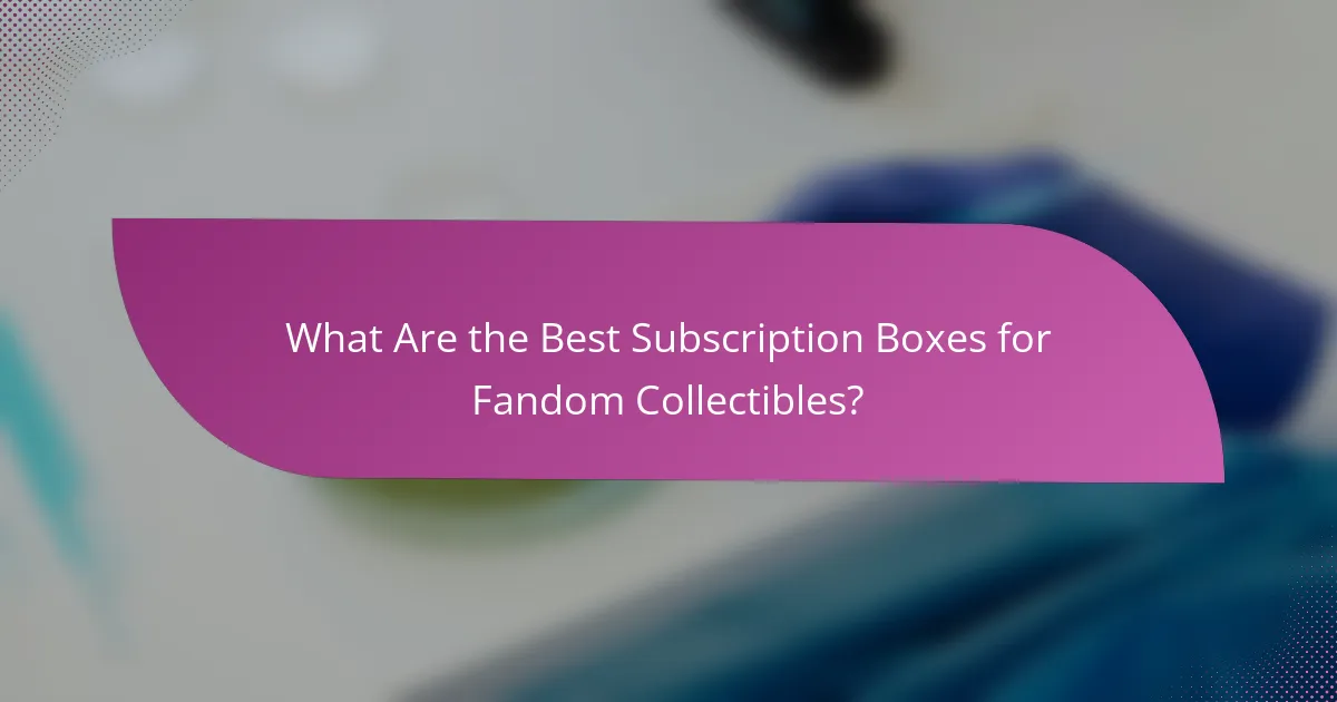What Are the Best Subscription Boxes for Fandom Collectibles?