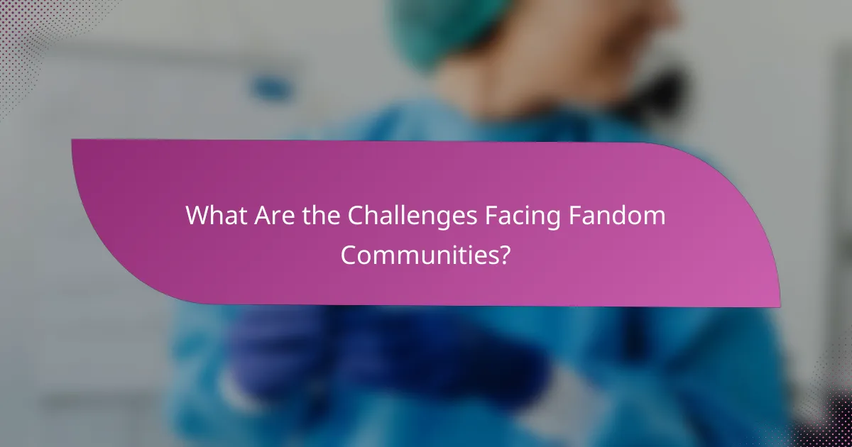 What Are the Challenges Facing Fandom Communities?