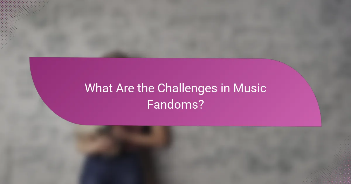 What Are the Challenges in Music Fandoms?