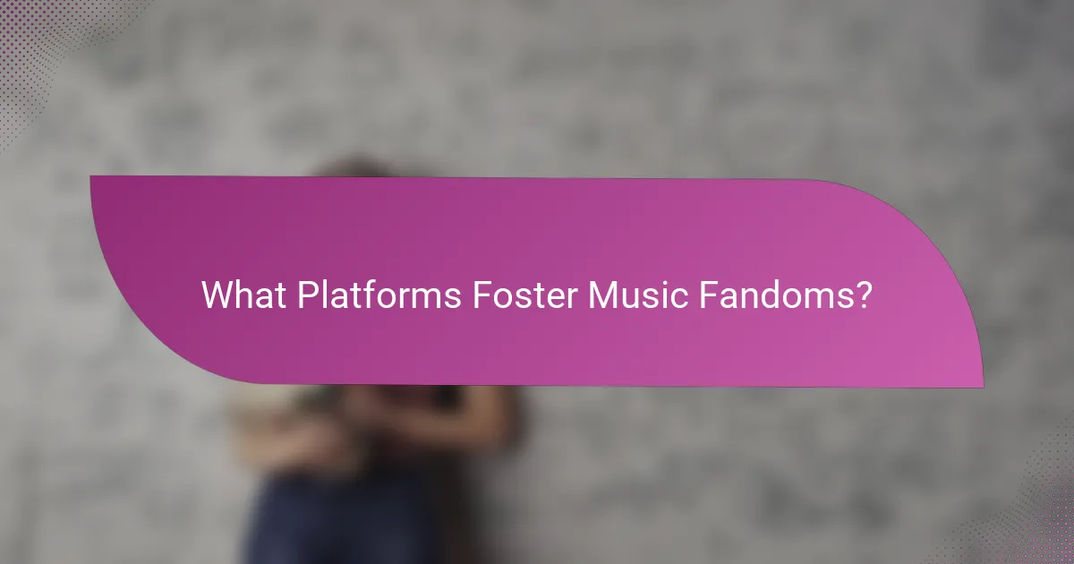 What Platforms Foster Music Fandoms?