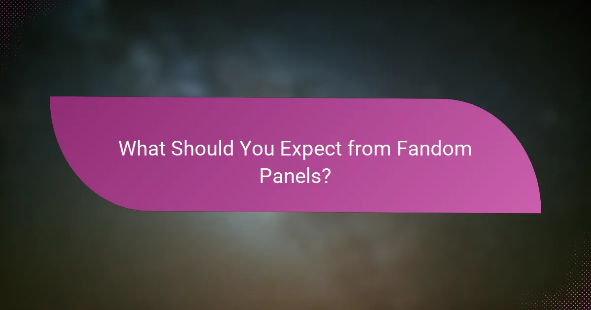 What Should You Expect from Fandom Panels?