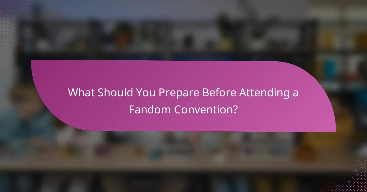 What Should You Prepare Before Attending a Fandom Convention?
